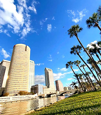 Tampa city skyline with palm trees under the bright blue sky.