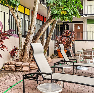 Lounge chairs in courtyard with tree and colorful windows in background.