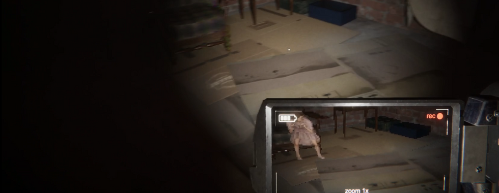 the camera sees things