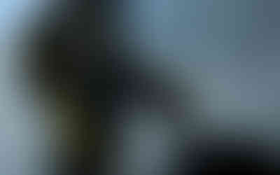 Artwork from the book