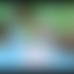 Barbie: Project Friendship