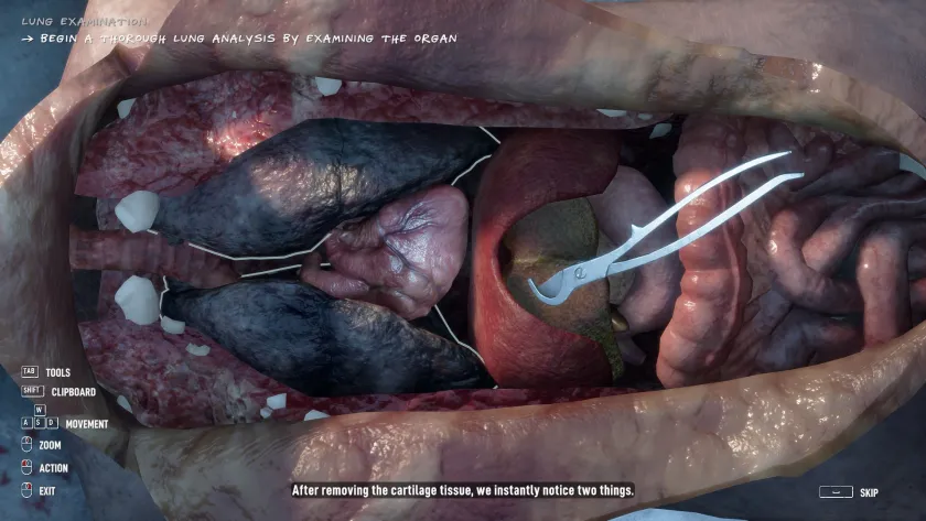 Autopsy Simulator