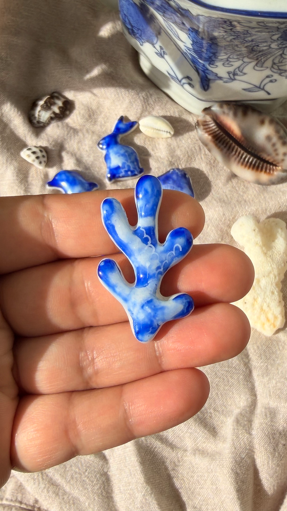 Thumbnail: Little Coral
