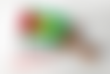 Guyana Visa on Arrival vs. Online Application: Which is better?