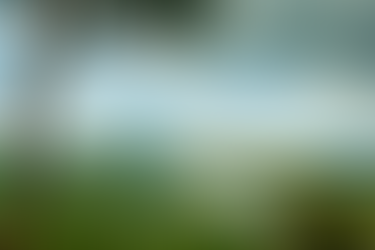 Top Tourist Attractions in Congo: Wildlife, Rivers & Culture