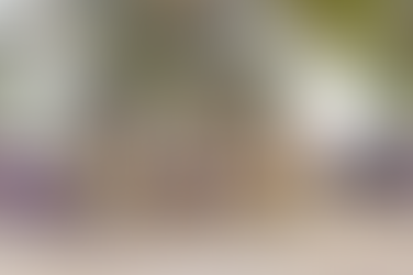 Cultural Festivals in Zambia You Should Experience Once