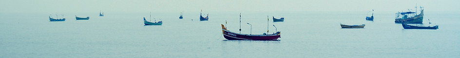 Boats in the Water