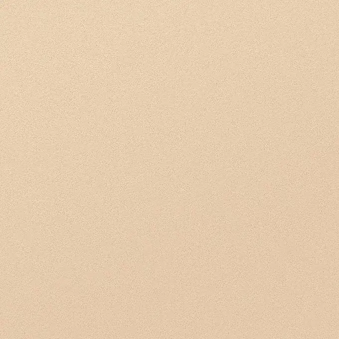 RICA_POLYFLOR_VINYLSHEET_BLOC