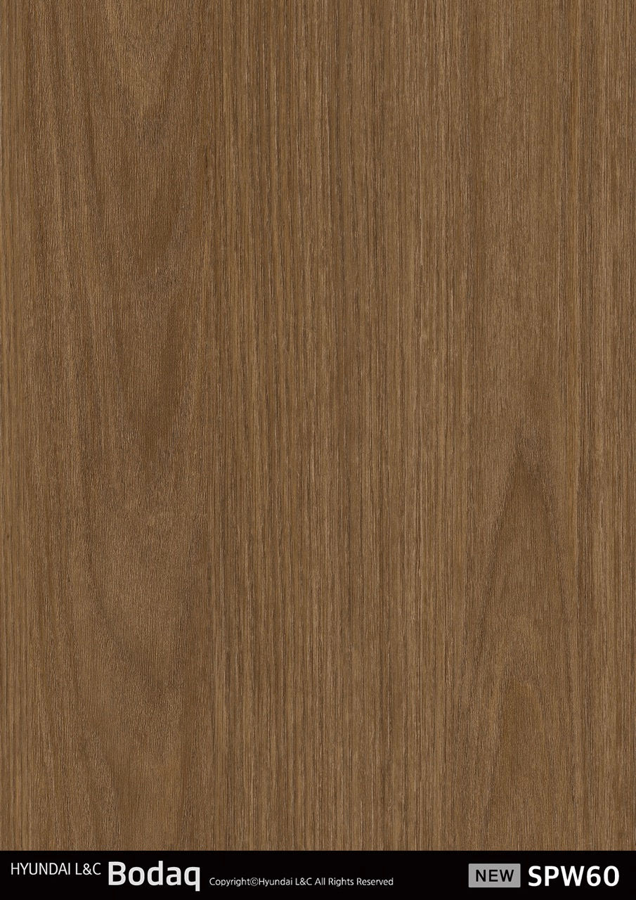 RICA_HYUNDAI L&C_BODAQ