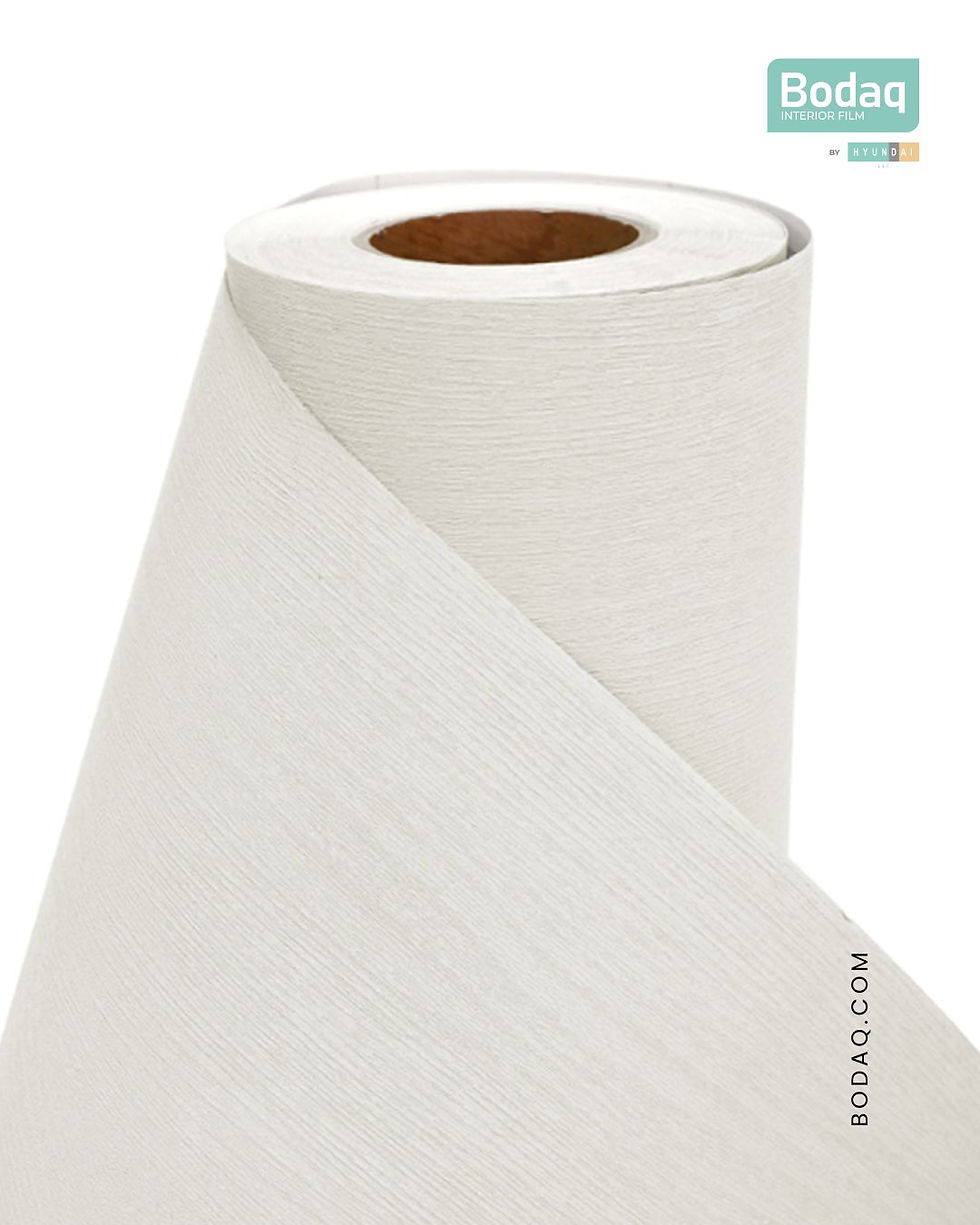 RICA_HYUNDAI L&C_BODAQ