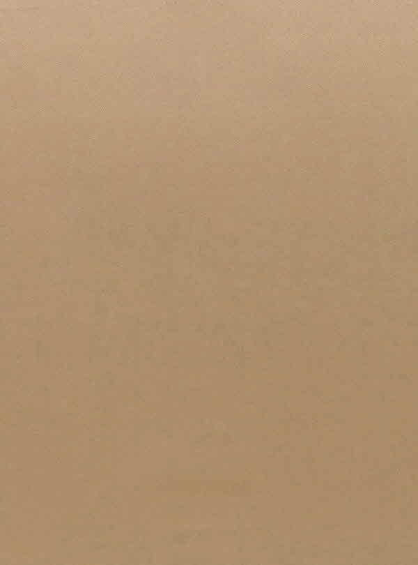 RICA_HYUNDAI L&C_BODAQ