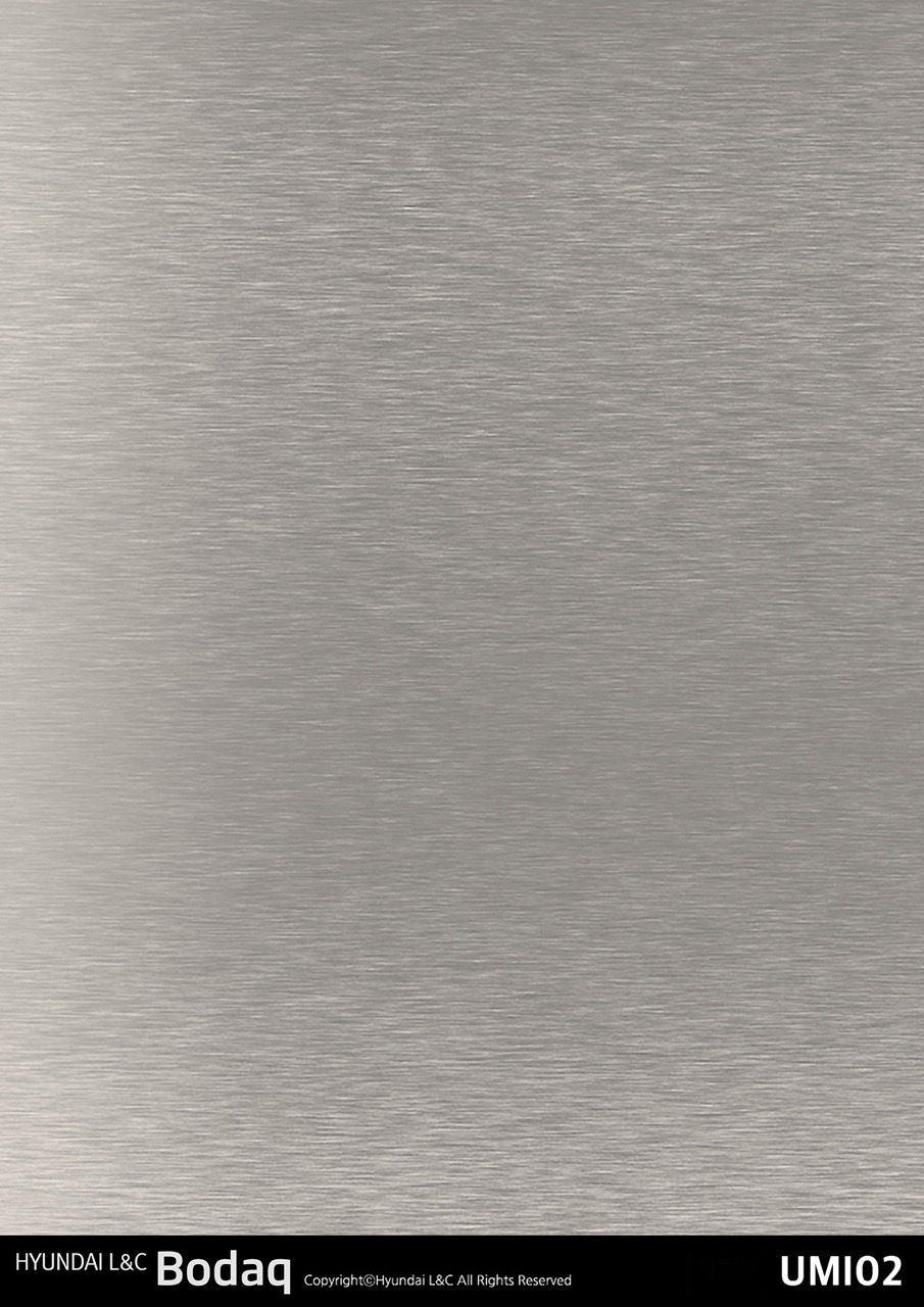 RICA_HYUNDAI L&C_BODAQ