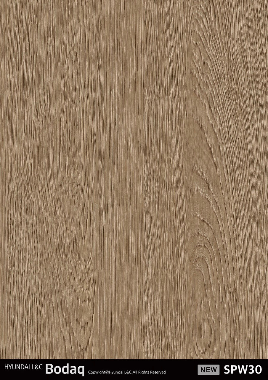 RICA_HYUNDAI L&C_BODAQ