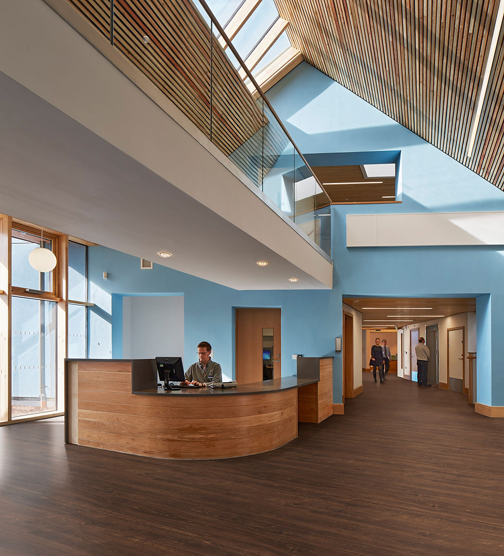 RICA_POLYFLOR_VINYLSHEET_POLYSAFE WOOD FX