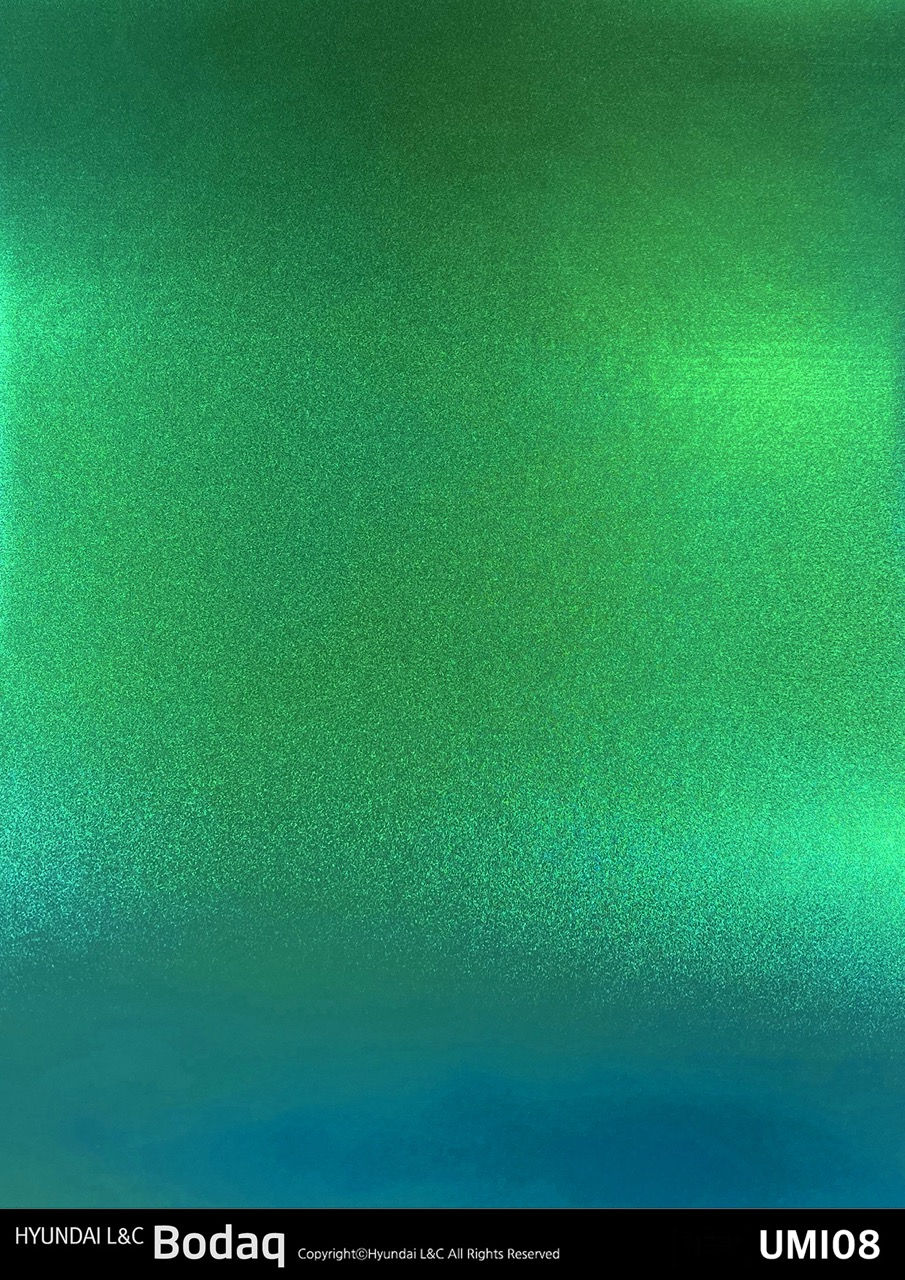 RICA_HYUNDAI L&C_BODAQ