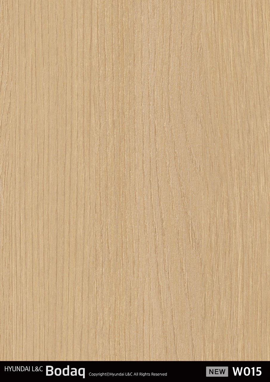 RICA_HYUNDAI L&C_BODAQ