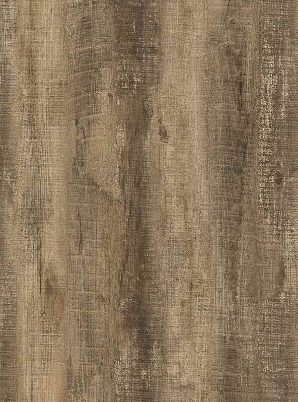 RICA_HYUNDAI L&C_BODAQ