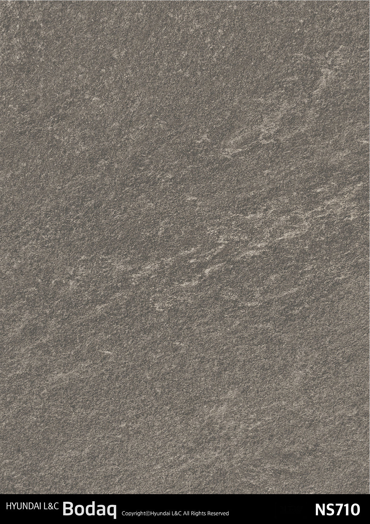 RICA_HYUNDAI L&C_BODAQ