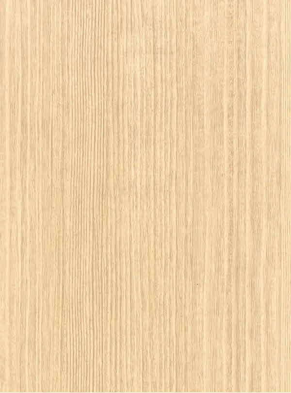 RICA_HYUNDAI L&C_BODAQ