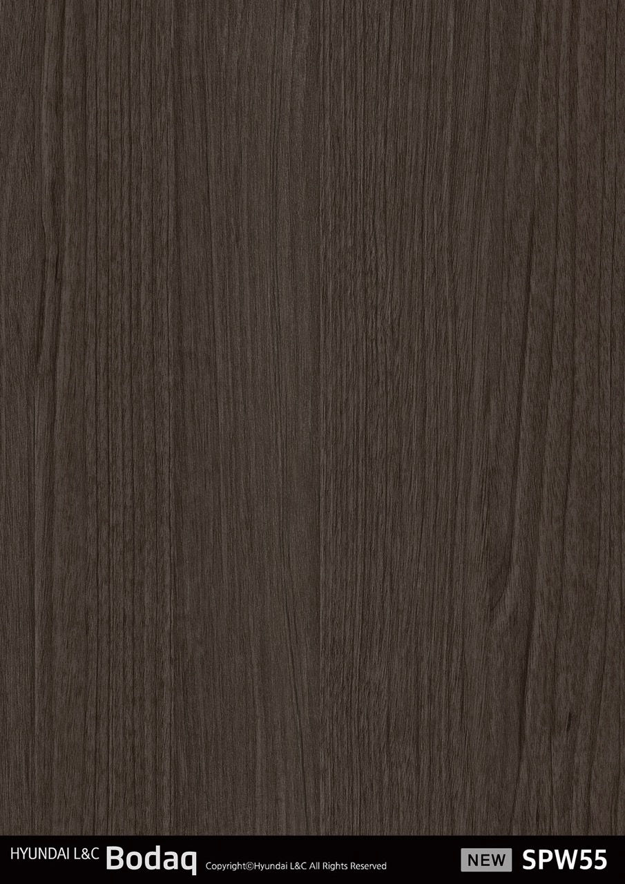 RICA_HYUNDAI L&C_BODAQ