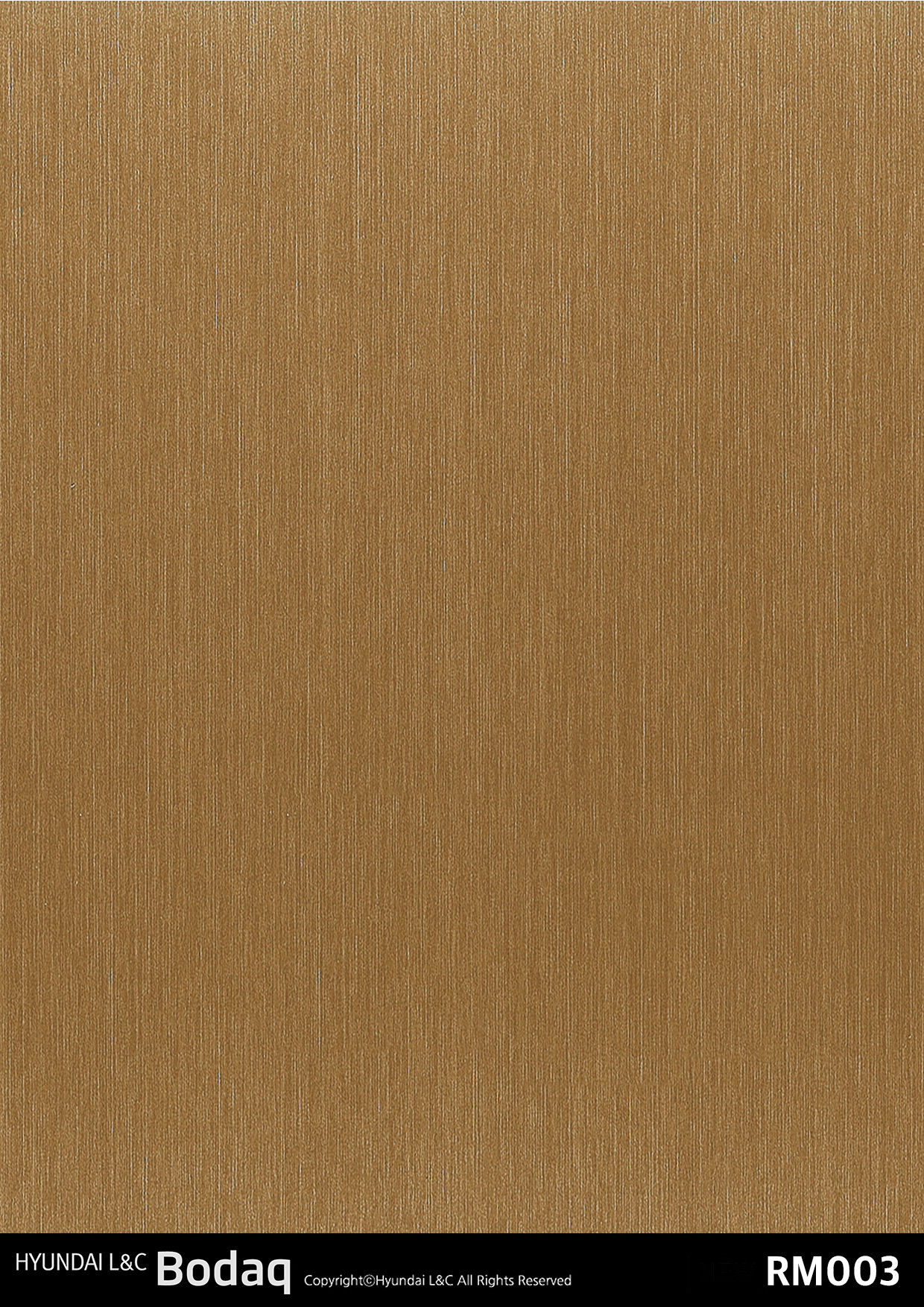 RICA_HYUNDAI L&C_BODAQ