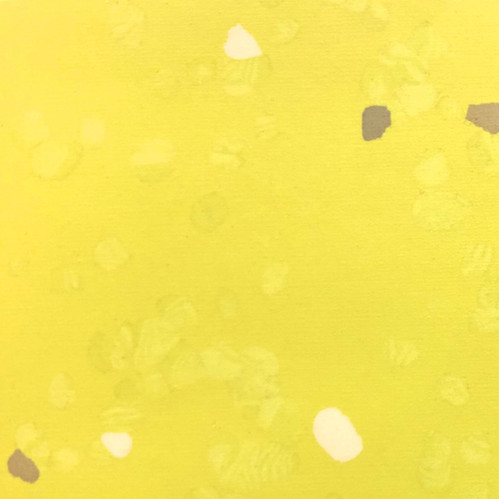 Sharp Yellow (YY - 004) SHARP YELLOW | rica