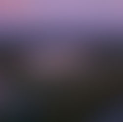 VBMA’s Museum in the Garden Capital Campaign Reaches $110 Million