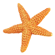 TC Almanac logo