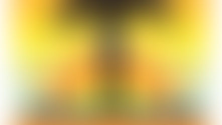 HOLIDAY THEMED EVENTS IN THE VINEYARD 
Jazz, Motown, Reggae, Big Band, Buffett, & The Beatles!