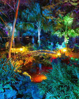 Lighting the Way: Heathcote’s Garden of Lights Shines in Its 11th Season