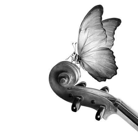 In Rhythm With Life: Classical Music on Florida’s Treasure Coast