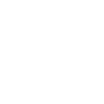 phone (1).png