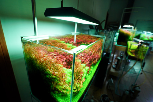 chihiros vivid2 ② Chihiros Aquarium RGB Vivid 2 led Lighting lamp App