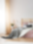 Services apartment - bedroom design by shosty