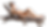 Gemini_Generated_Image_tndrxxtndrxxtndr - bearbeitet.png