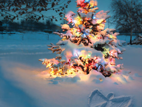 Peace on Earth & Good Vibes Within