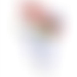 Try the Japanese Kanzashi and Look Gorgeous!