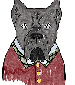 wix:image://v1/edb386_8a280f6dc0854b519dd578fdfbdb0975~mv2.png/Crisp%20is%20Attucks%202.psd.png#originWidth=1640&originHeight=2360