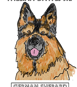 wix:image://v1/edb386_f11bcf7f156b46bea66903826300c871~mv2.png/Fun%20Unique%20Scrapbook%20Friends%20New%20Years%20Eve%20Party%20Invitation%20(8.5%20x%2011%20Mailing%20Label).png#originWidth=1545&originHeight=2000