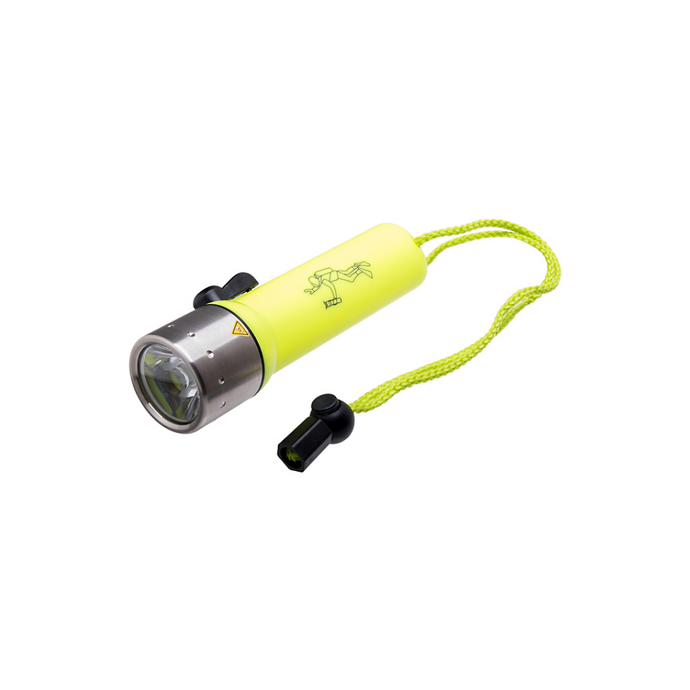 Led Lenser D14 Waterproof Torchlight 9114W