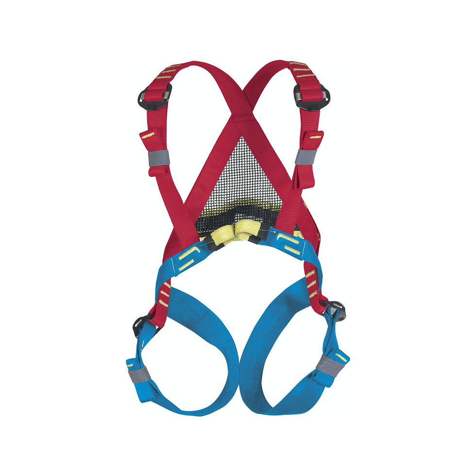 Beal Bambi 2 Harness