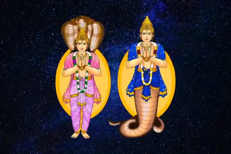 rahu_ketu_transit.webp