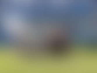 SCONFITTA IMMERITATA CONTRO I VINCITORI DEL TITOLO