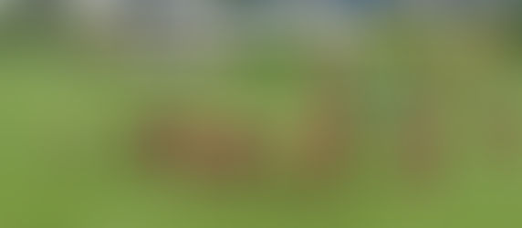 PLAYOFF, PLAYOFF, PLAYOFF!!!