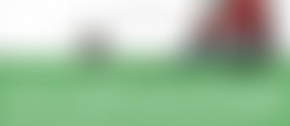 AMAREZZA INFINITA: IL GOVERNO FA GIOCARE SOLO I PIÙ BRAVI