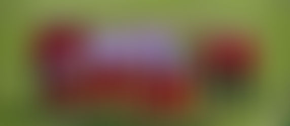 NEL WEED END DI PASQUA GLI ESORDIENTI SI QUALIFICANO PER LE PREFINALI NAZIONALI DELL'UDINESE ACA