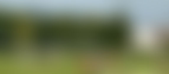 FINALMENTE I 3 PUNTI, GOLEADE DI ALLIEVI E GIOVANISSIMI