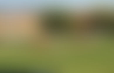 MENTRE LA PRIMA SQUADRA RIPOSA, LA JUNIORES DIVENTA CAPOLISTA SOLITARIA