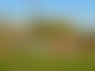 UNA GIORNATA STORTA E L'ALTINO CI PUNISCE DI RIGORE