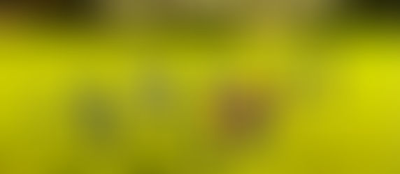 PRIMA SQUADRA DUE PUNTI PERSI. RISULTATI ALTALENANTI PER LE GIOVANILI